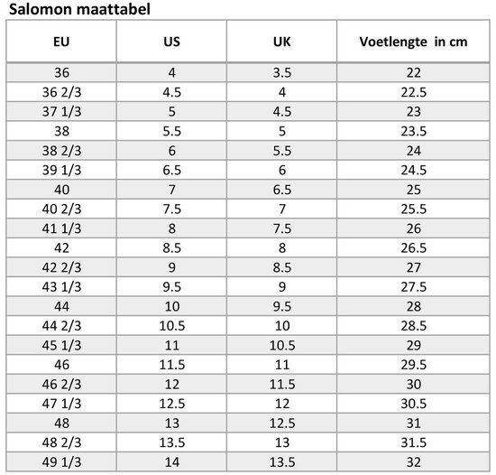 Salomon Mudstone Mid 2 GTX Schoenen grijs Schoenmaat 7,5 UK | 41 1/3 |  bol.com