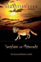 Samtpfoten Um Mitternacht