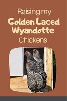 Raising My Golden Laced Wyandotte Chickens