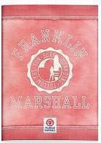 Schrift Franklin Marshall pink A4 geruit