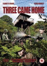 Three Came Home