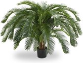 Cycas Palm Deluxe 125cm