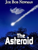 The Asteroid