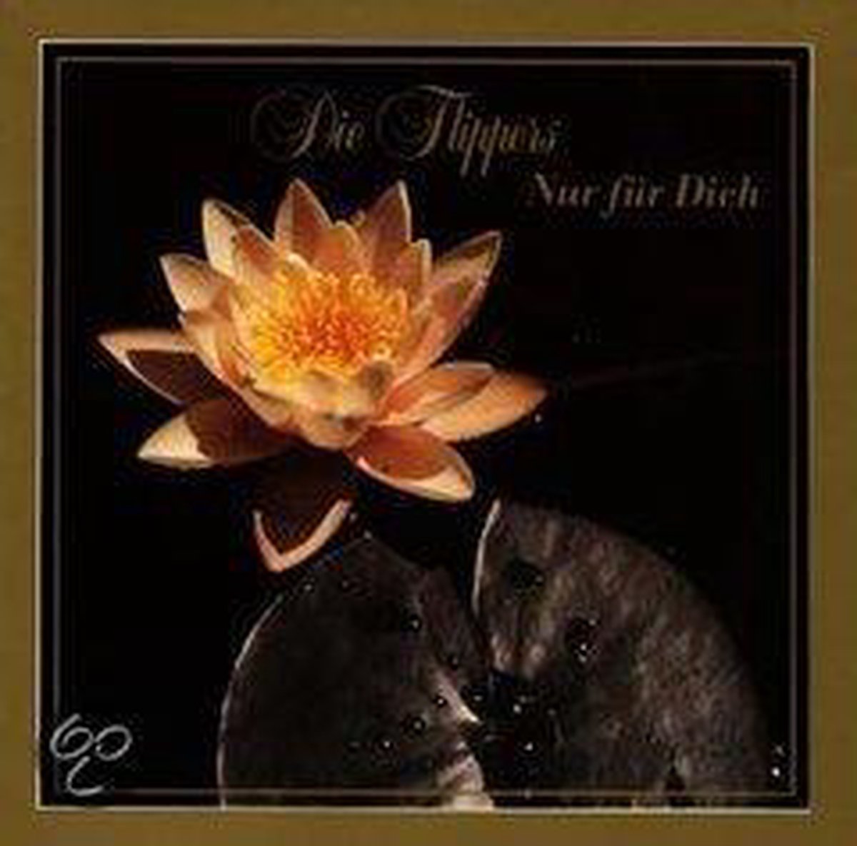 Nur Fur Dich - CD ALBUM