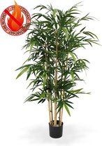 Bamboe 150 cm FR