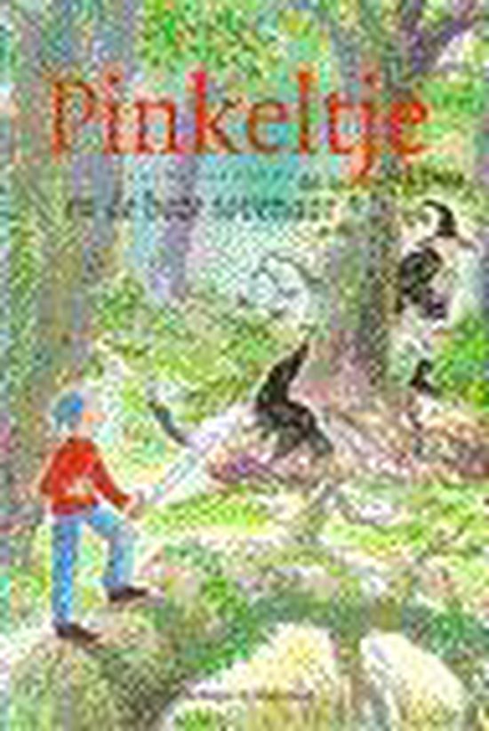Pinkeltje En De Boze Tovenaar - cover