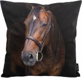 Paard / Horse Kussenhoes | Katoen/Polyester | 45 x 45 cm
