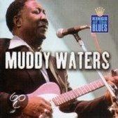A Tribute To Muddy Waters, King Of The Blues