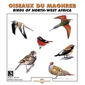 Birds Of North-West Africa - Oiseaux Du Maghreb (CD)