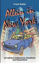 Allein in New York