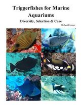Triggerfishes for Marine Aquariums