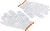 Kaiser Anti-Static Gloves Asg-S (Small)