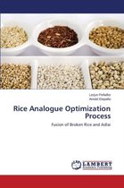 Rice Analogue Optimization Process