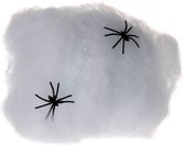 Spinnenweb met Spinnen 100 Gram