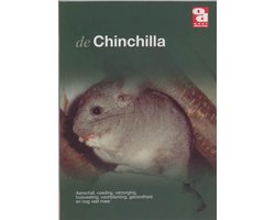 De chinchilla