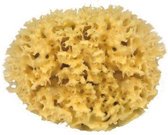Croll & Denecke Natuurspons – Natuurlijke spons – Badspons – 100% Natuurlijk & Plasticvrij – Vegan - ⌀ 12 cm