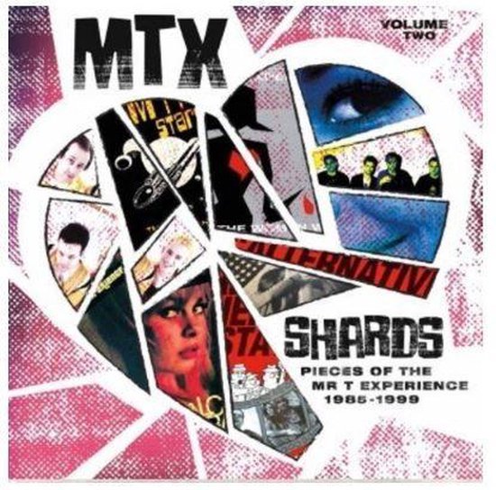 Mr. T Experience - Shards, Vol. 2 (LP)