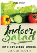 Indoor Salad