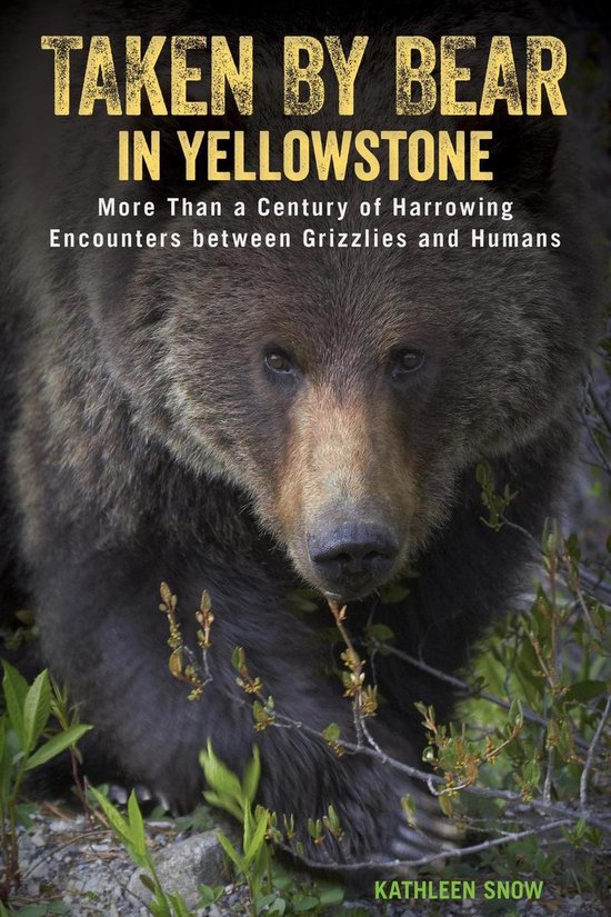 Taken by Bear in Yellowstone - cover