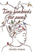 Boek met de titel 'Tiny Sunbirds Far Away' en een illustratie van een vrouw met vogels in haar haar.