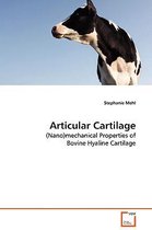 Articular Cartilage