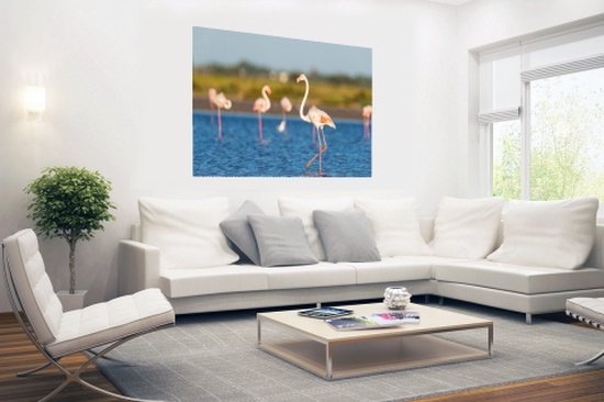 Poster Groupe de flamants roses 90x60 cm - Tirage photo sur Poster (décoration murale salon / chambre) / Poster Animaux
