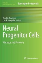 Neural Progenitor Cells
