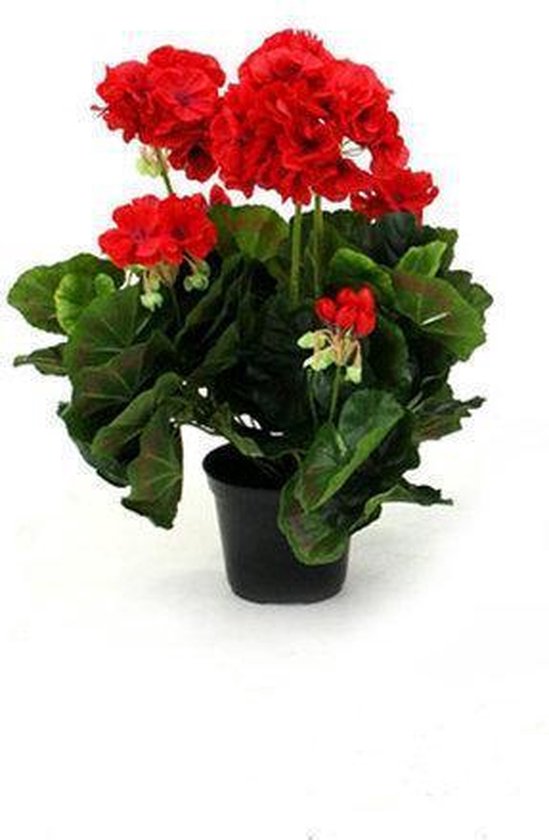 Geranium kunstplant in pot 40cm - rood | bol