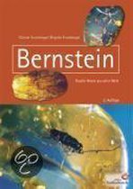 Bernstein - Fossile Harze aus aller Welt