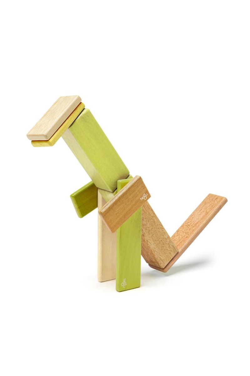 14 piece tegu sales magnetic wooden block set