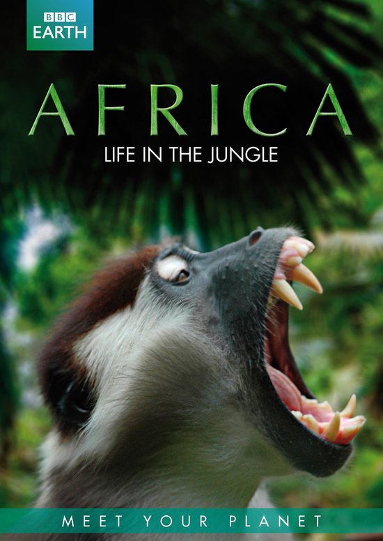 Cover van de film 'Life In The Jungle'