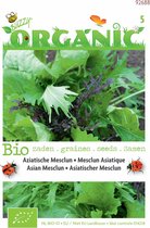 Buzzy Organic Mesclun Aziatisch (BIO)