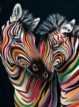 Eagle® Diamond Painting Volwassenen - Diamond Painting Kinderen - Gekleurde Zebra - 50x40cm