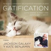 Gatification: C�mo Dise�ar La Mejor Casa Para Tu Gato Y Para Ti / Catification