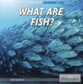 Let's Find Out! Marine Life - What Are Fish?