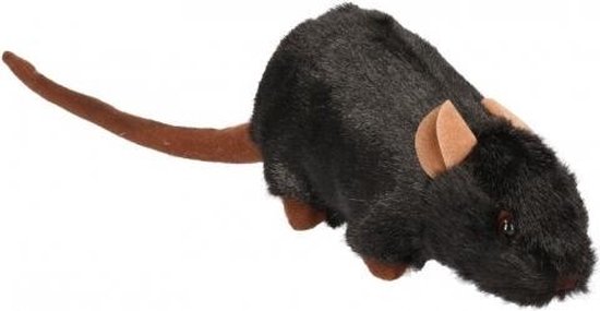 Koopje Spit aardbeving Pluche zwarte rat knuffel 23 cm | bol.com