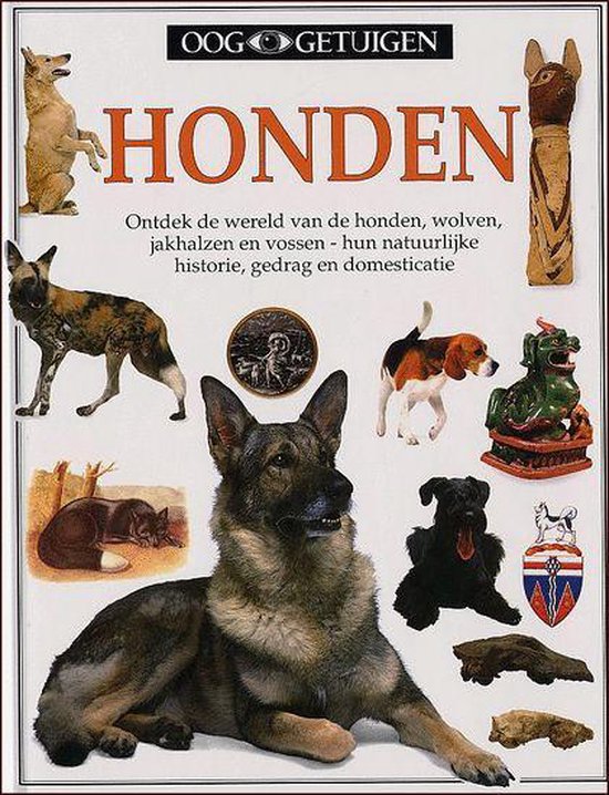 Cover van het boek 'Ooggetuigen honden'