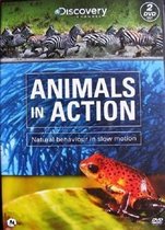 Discovery Channel : Animals In Action