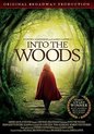 Into the Woods: Stephen Sondheim [DVD] [1991] [Region 1] [US Import] [NTSC]