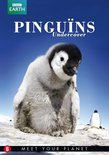 Bbc Earth; Pinguins Undercover