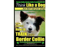 Border Collie, Border Collie Training AAA Akc:- Border Collie, Border Collie Training AAA AKC