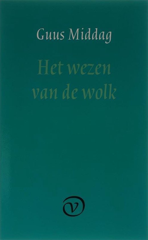 Cover van het boek 'Het wezen van de wolk' van Guus Middag