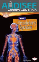 Searchlight Books ™ — How Does Your Body Work? - Your Circulatory System