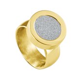 Quiges RVS Schroefsysteem Ring Goudkleurig Glans 18mm met Verwisselbare Glitter Zilver 12mm Mini Munt