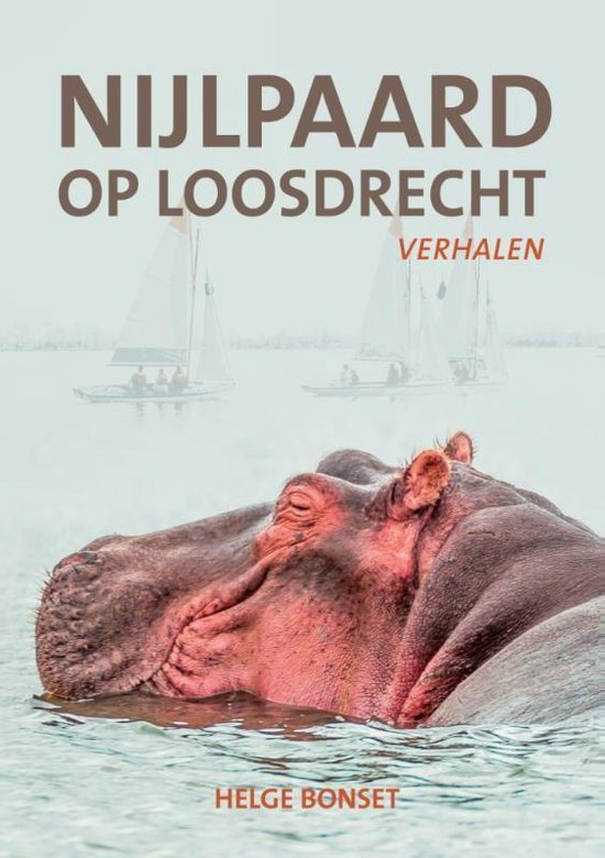 Nijlpaard op Loosdrecht