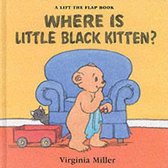 Where Is Little Black Kitten?