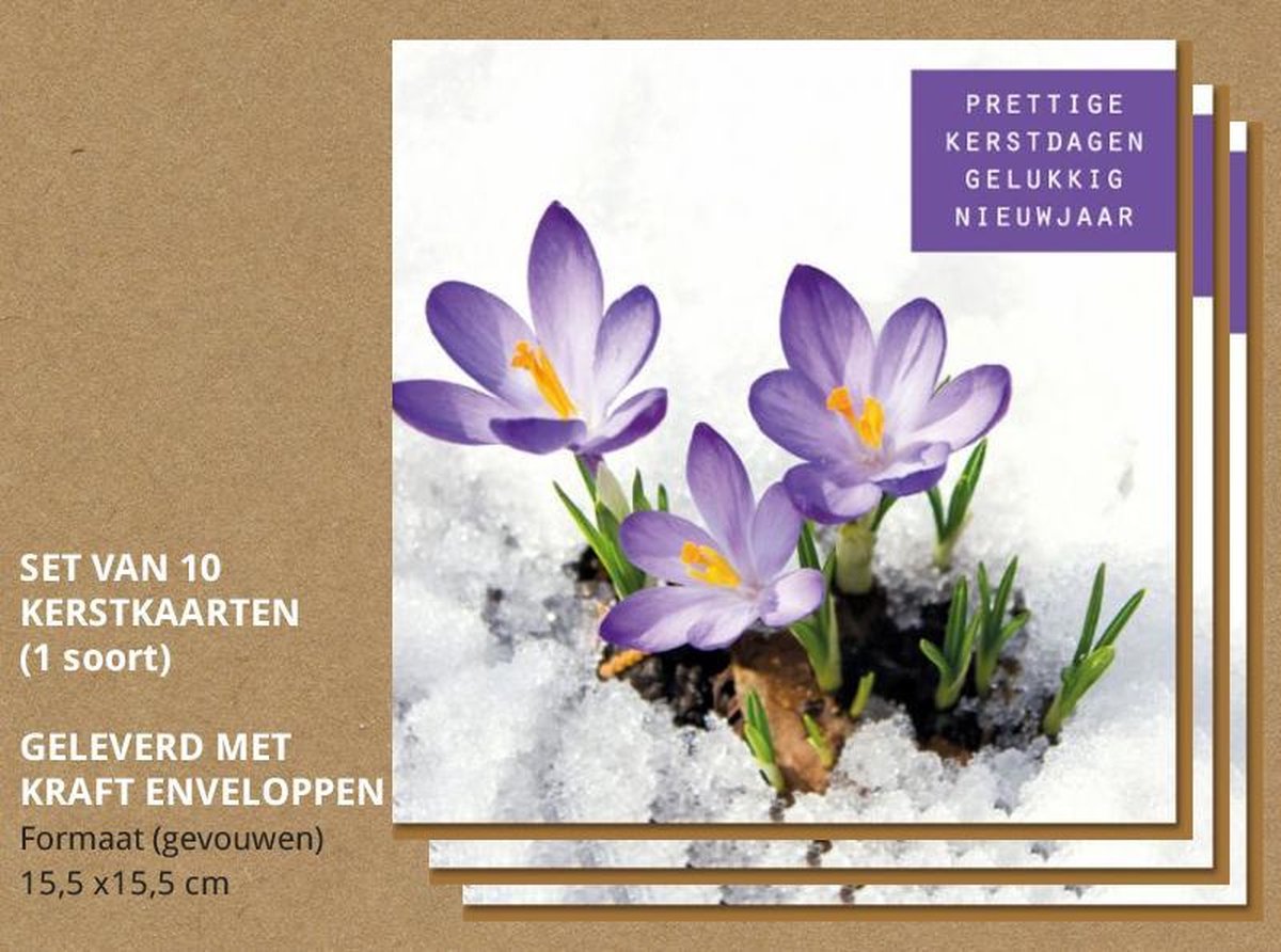 Luxe kerstkaarten met enveloppen, Krokussen in de sneeuw - 10 stuks