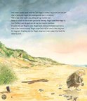 Een jongen, Ragin, op een zanderig strand, op zoek naar schelpen.