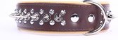 Dog's Companion - Leren halsband - met spikes - 45-53cmx40 mm - Bruin/Naturel - 997bruin/naturel