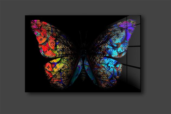 LV vlinder schilderij op plexiglas 90x60cm